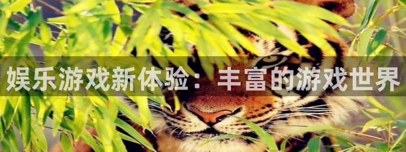 壹号大舞台有梦你就来