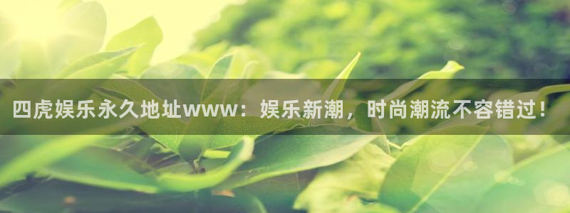 壹号电子娱乐app下载