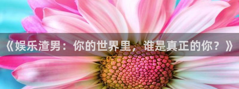 壹号电子娱乐app下载安装
