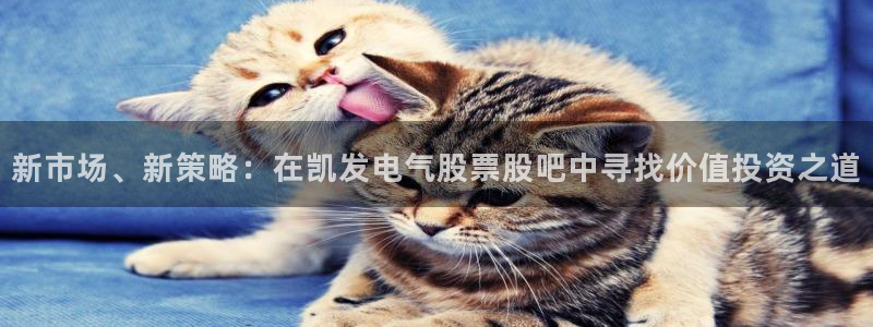壹号电子娱乐app下载安装最新版本