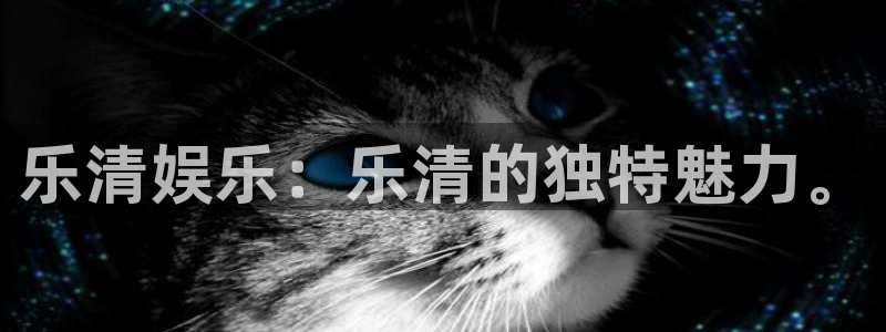 壹号玩家app下载