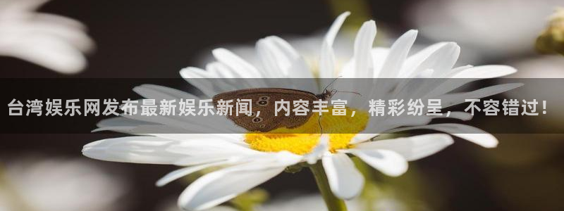 壹号娱乐下载