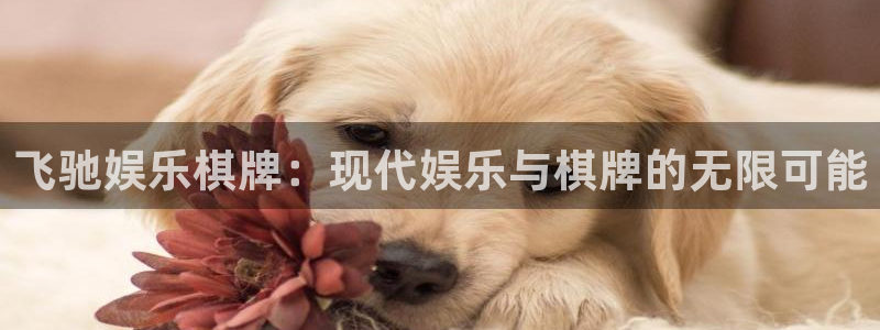 壹号娱乐-ng大舞台,有梦你就来