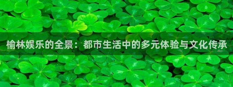 壹号大舞台：榆林娱乐的全景：都市生活中的多元体验与文化传承