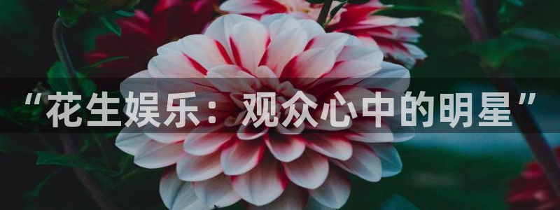 壹号娱乐退款怎么退