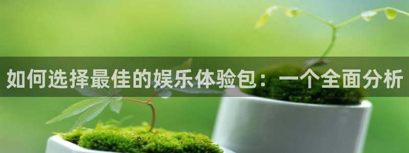 壹号娱乐电子游戏官网