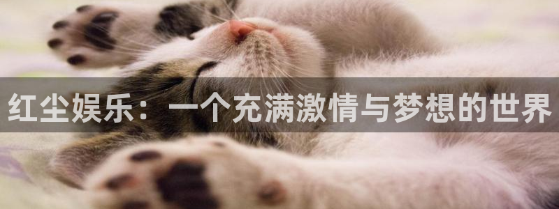 壹号大舞台怎么注册