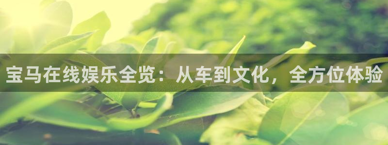 壹号电子娱乐app下载