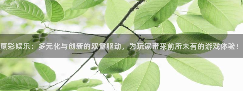 壹号app下载