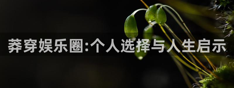壹号娱乐app官网