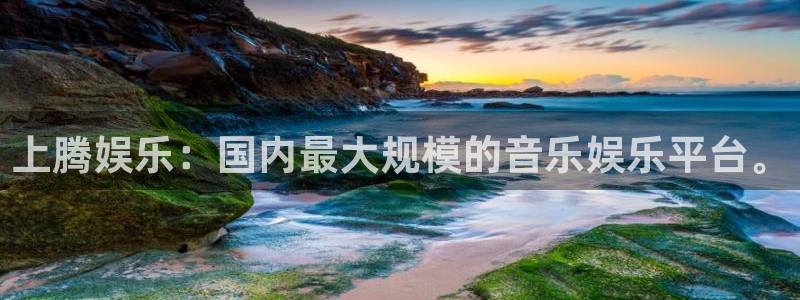 壹号娱乐网址