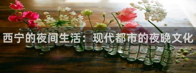 壹号娱乐,com：西宁的夜间生活：现代都市的夜晚文化