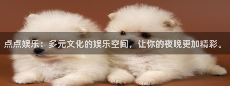壹号娱乐app官网下载：点点娱乐：多元文化的娱乐空间，让你的夜晚更加精彩。