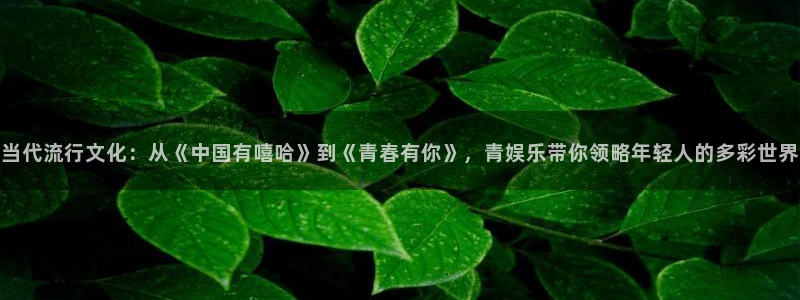 壹号娱乐app官网下载：当代流行文化：从《中国有嘻哈》到《青春有你》，青娱乐带你领略年轻人的多彩世界