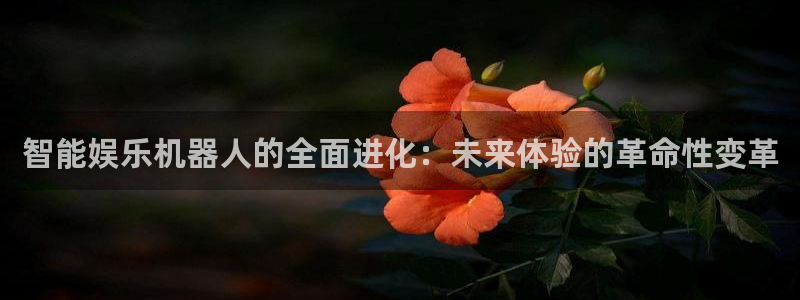 壹号玩家app下载