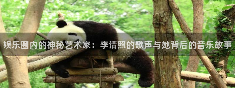 壹号娱乐app