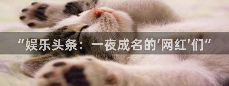 壹号平台下载安装官网