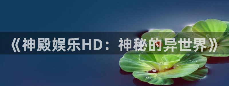 壹号官方app下载安装