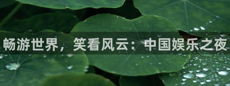 壹号娱乐app下载地址