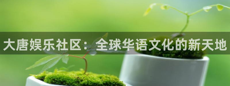 壹号娱乐com