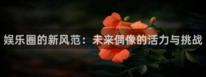 壹号平台下载安装官网