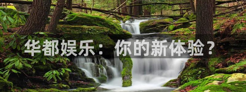 壹号大舞台下载