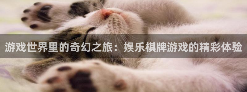 壹号娱乐网址