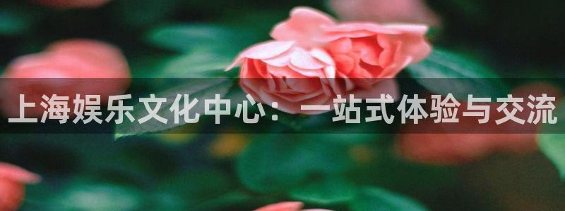 壹号大舞台入口