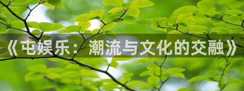 壹号top娱乐