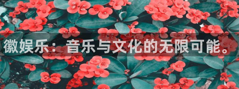 壹号娱乐app下载安装