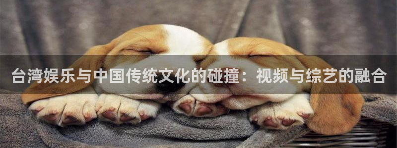 壹号娱乐官网