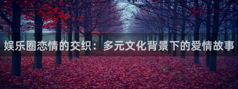 壹号app官方登录入口下载