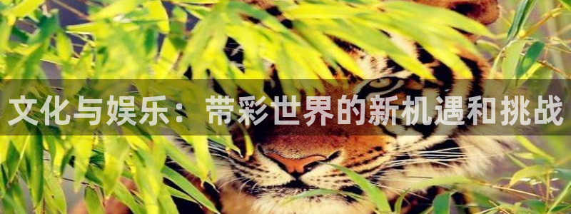 壹号娱乐app官网