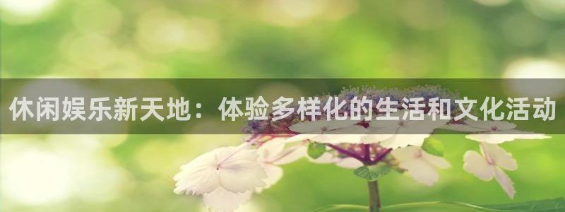壹号官方app下载安装