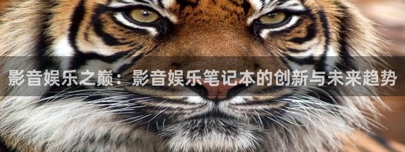壹号平台下载安装