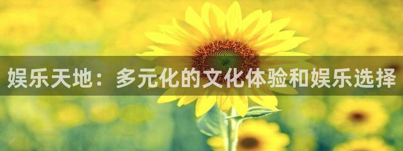 壹号app下载苹果：娱乐天地：多元化的文化体验和娱乐选择