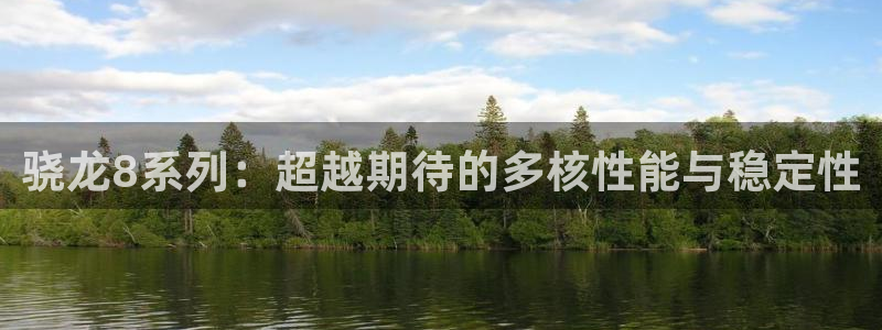 壹号电子娱乐app下载：骁龙8系列：超越期待的多核性能与稳定性